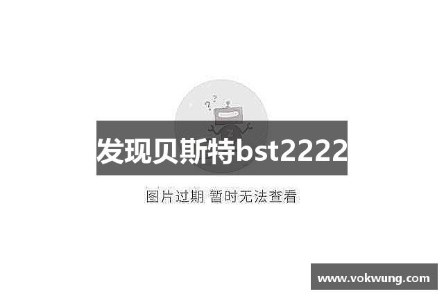 发现贝斯特bst2222